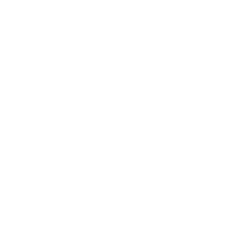 Brisbane City Council