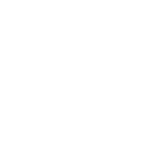 thestar