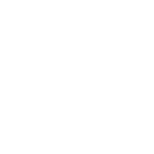 toyota.png