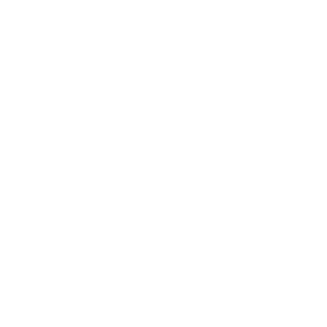 villageraodshow